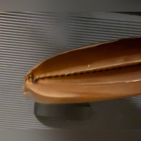 Bloomingdale’s Little Brown Cosmetic Pouch - Picture 3 of 5